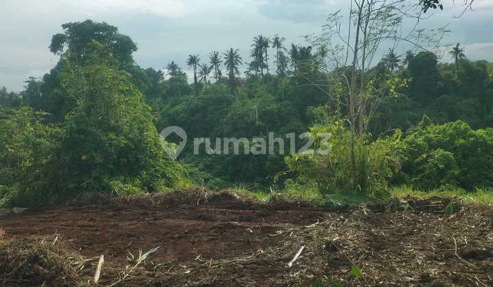 River Wos Land Suitable for Villa Hotel Resort