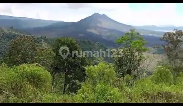 Tanah Jalan Utama untuk Resto Vila View Gunung Danau Abadi Tanah Jalan Utama untuk Resto Vila View Gunung Danau Abadi