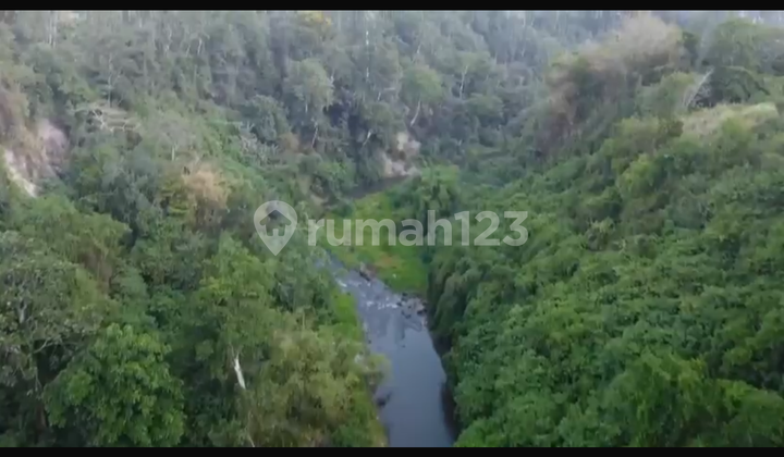 Tanah Sewa View Super Cantik Sungai Hutan Sawah Ubud