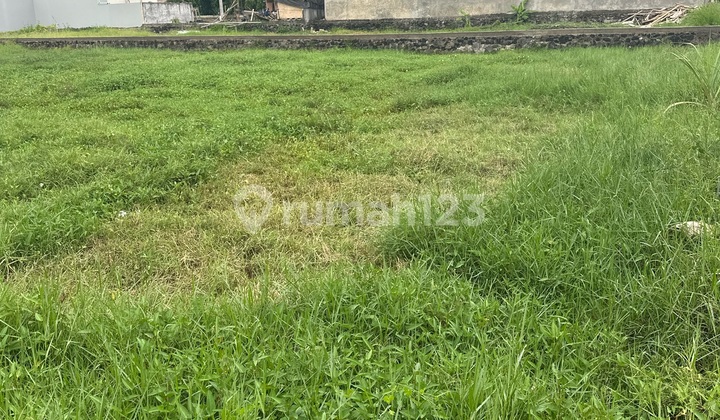 Tanah Sewa Cocok Vila Rental Dekat Ubud Siap Bangun 
