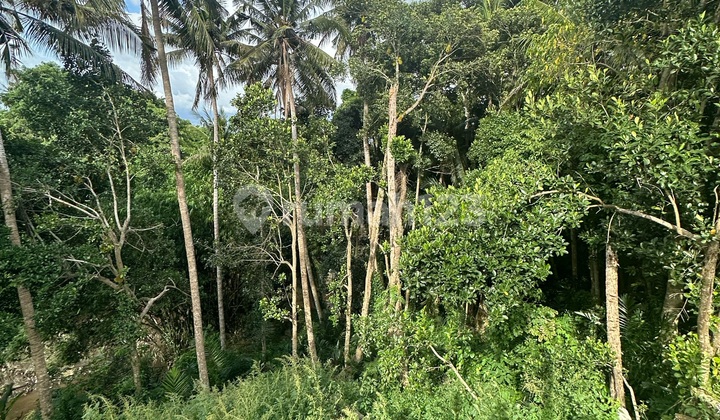 Land View Valley Forest Suitable Rental Villa Land View Valley Forest Suitable Rental Villa