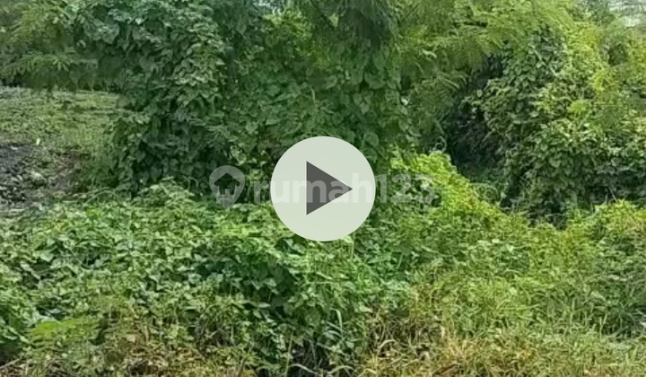 Land in Kayutulang Canggu Near the Beach, Suitable for a Private Villa