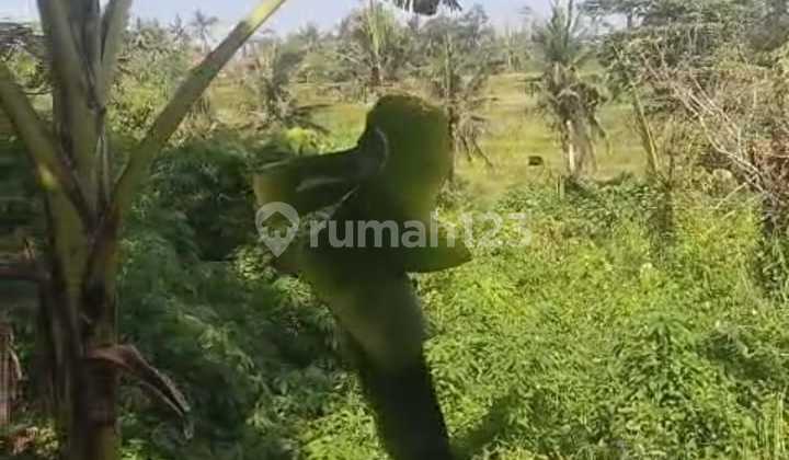 For Sale Land in Villa Environment in Mas Ubud