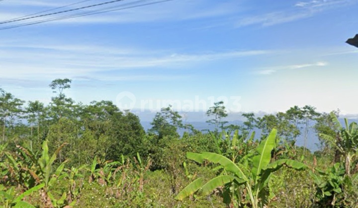 Tanah View Danau Hutan Super Keren Cocok Vila Resto 