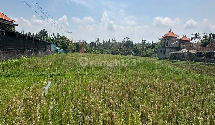 Tanah Sewa View Cantik Dekat Central Ubud Harga Murah 2