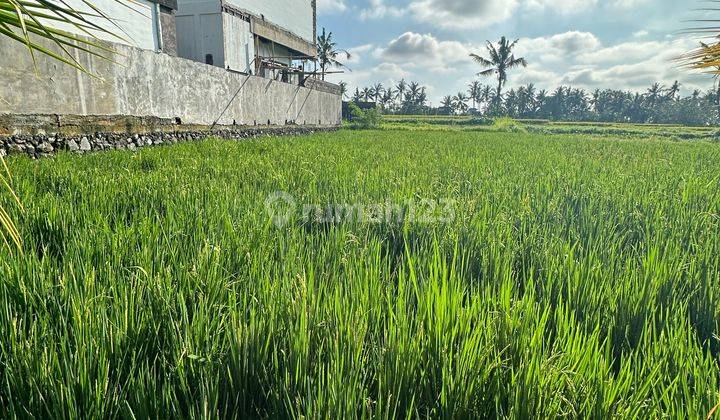 Tanah Zona Kuning View Sawah Lingkungan Villa Keren 1