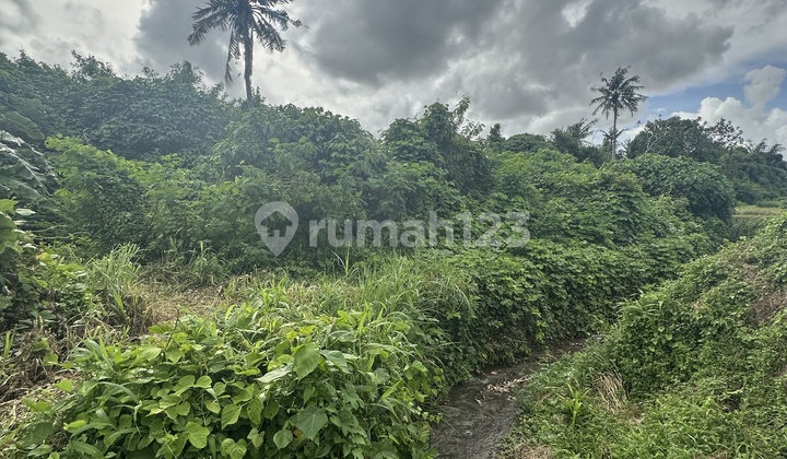Cheapest Land in Batubulan View River Forest Rice Field Cool