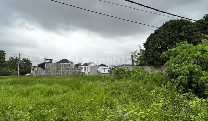 Cheap Land Near Kedungu Beach Ready to Build Villa Cheap Land Near Kedungu Beach Ready to Build Villa