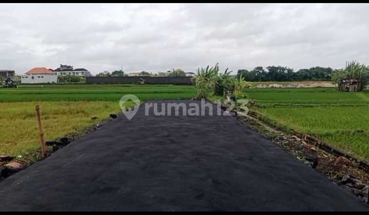 Land for Sale in the Good Kedampang Area, Kerobokan Land for Sale in the Good Kedampang Area, Kerobokan