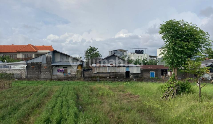 Yellow Zone Leasehold Land Ready to Build in Kerobokan Yellow Zone Leasehold Land Ready to Build in Kerobokan