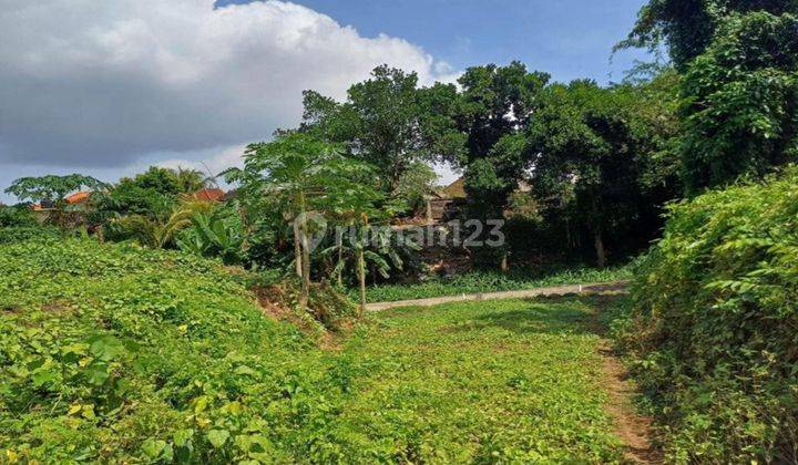 Land Near Central Ubud Suitable Villa Cheap Price 2