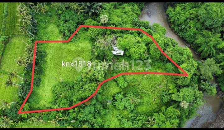 Tanah Los Sungai Hutan Keren Cocok Villa Rental Dekat Pantai Saba Juga