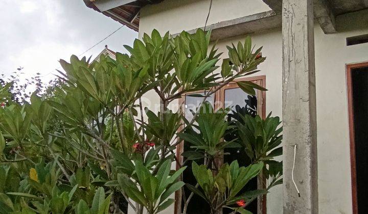 Rumah Style Vila Cocok Jadi Vila Rental Harga Murah 1