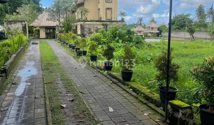 LAND FOR RENT IN TOURISM ZONE SUITABLE FOR VILLAS AND RESTAURANTS 2