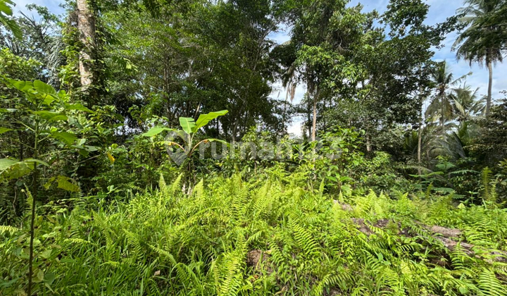 Tanah View Sungai Hutan Sawah Siap Bangun Vila Rental