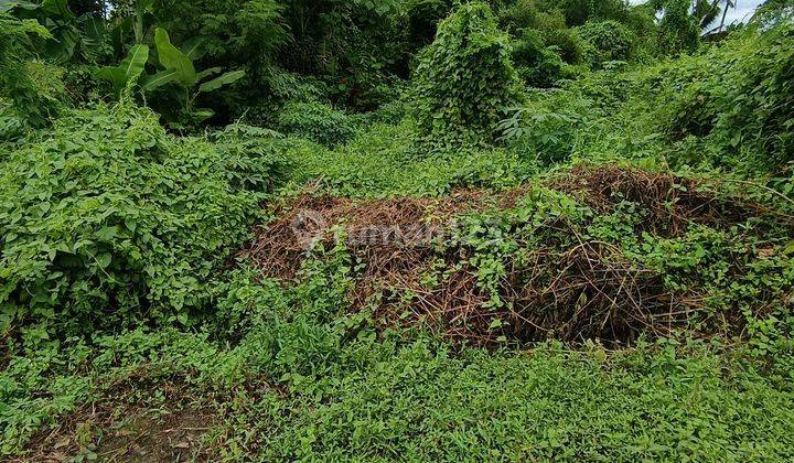 Tanah Super Murah Dekat Pantai Keramas Cocok Vila 1