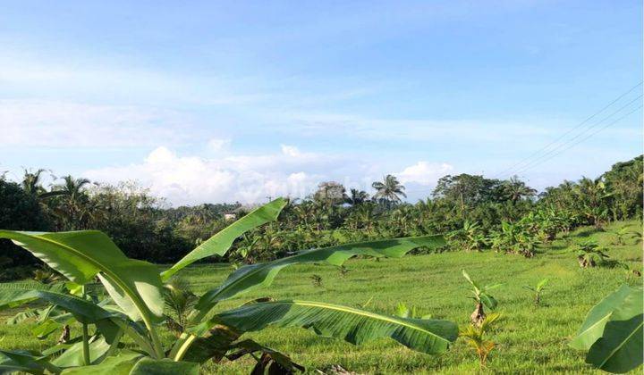 Tanah Murah Di Megati Tabanan Cocok Investasi View Cantik 1