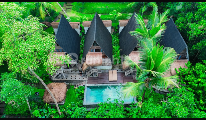 Cheap Rental Villa with 4 Units, Spacious Land, River and Forest View