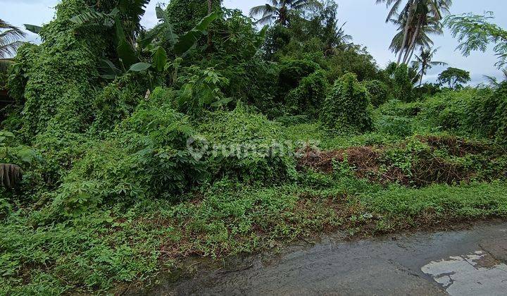 Tanah Super Murah Dekat Pantai Keramas Cocok Vila 2