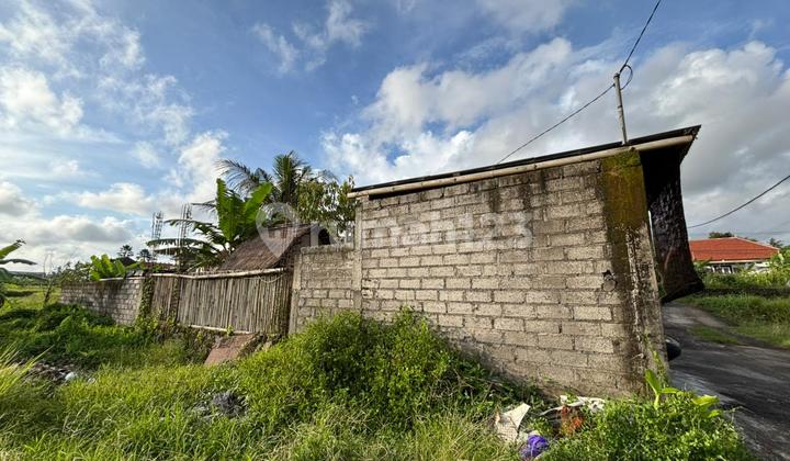 Tanah Zona Kuning Siap Bangun Vila Pribadi atau Rental Tanah Zona Kuning Siap Bangun Vila Pribadi atau Rental