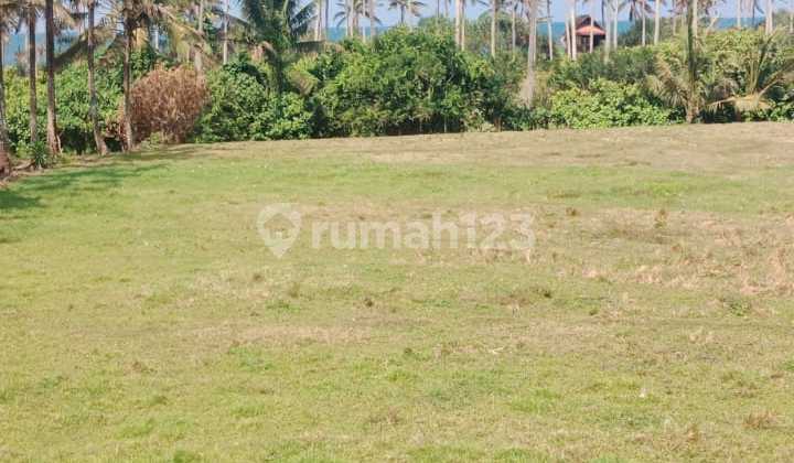 Cheap Land Walking Distance to Balian Beach Suitable for Private Villa Cheap Land Walking Distance to Balian Beach Suitable for Private Villa