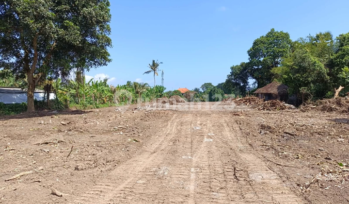 Tanah Kavling Dekat Kota Gianyar Harga Murah Siap Bangun