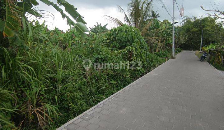 TANAH ZONA KUNING SIAP BANGUN VIEW SAWAH  2