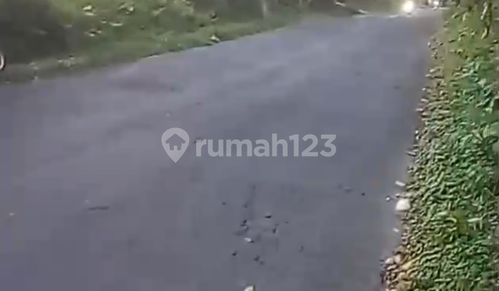 Tanah Pinggir Jalan Besar View Hutan Harga Murah