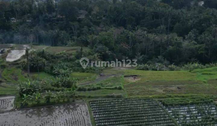 LAND ZONE PINK VIEW RICE FIELDS SUITABLE FOR VILLA RENTAL 2