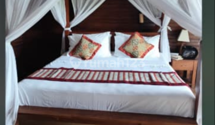 Cheap Land with Bonus Villa, Rice Field View, Near the Beach Cheap Land with Bonus Villa, Rice Field View, Near the Beach