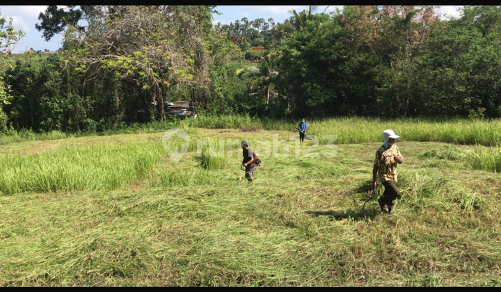 Cheap Land with Great View, Safe Zone to Build