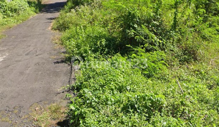 Small Size Land for Lease, Ready to Build, Yellow Zone Small Size Land for Lease, Ready to Build, Yellow Zone