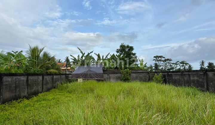 Tanah View Sawah Zona Kuning Cocok Villa Rental Tanah View Sawah Zona Kuning Cocok Villa Rental