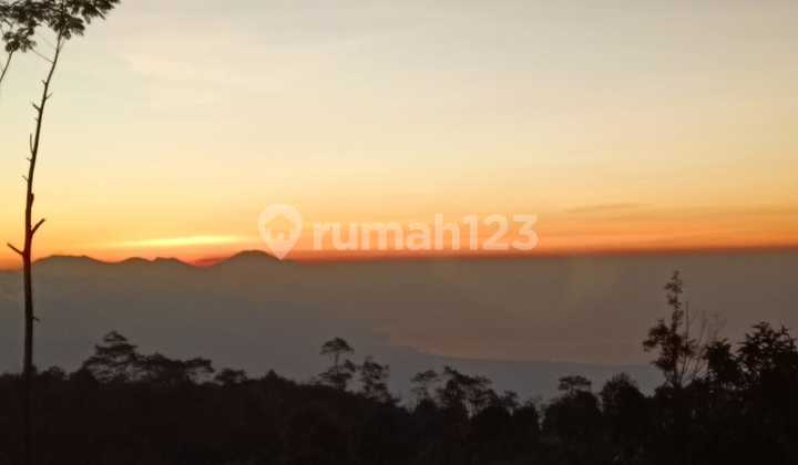 Tanah View Lembah Sunset Gunung Hutan Keren Harga Murah Tanah View Lembah Sunset Gunung Hutan Keren Harga Murah
