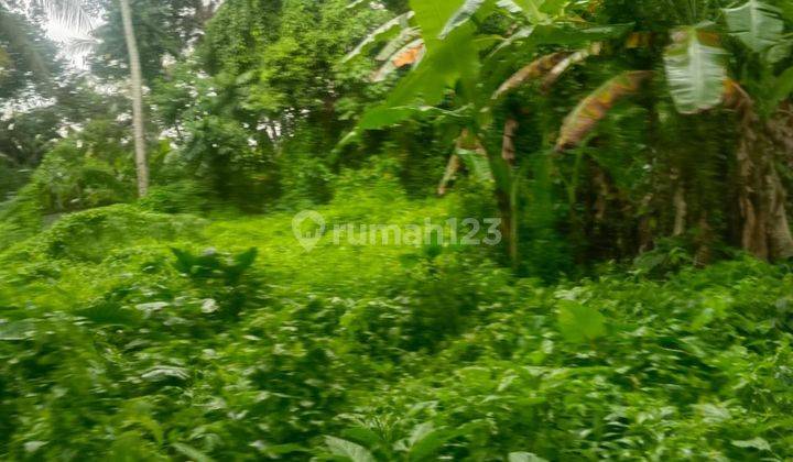 LAND FOR RENT YELLOW ZONE FOREST VIEW SUITABLE FOR VILLA COMPLEX 1