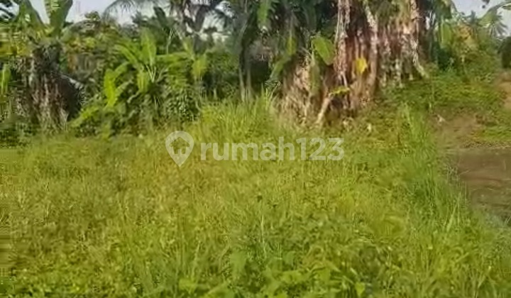 Tanah Murah View Bagus Cocok Vila Pribadi Siap Bangun Tanah Murah View Bagus Cocok Vila Pribadi Siap Bangun