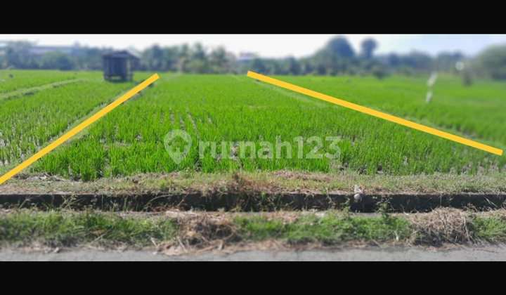 Affordable Land in Marga Tabanan with Rice Field View, Suitable for Private Villa Affordable Land in Marga Tabanan with Rice Field View, Suitable for Private Villa
