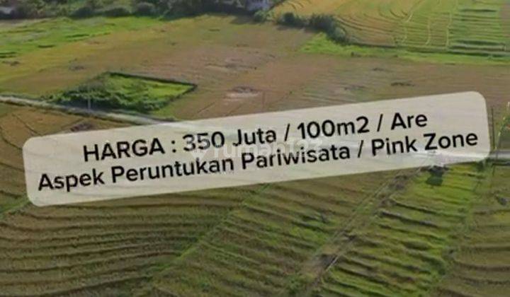 TANAH DI PANTAI PASUT HARGA MURAH VIEW KEREN 2