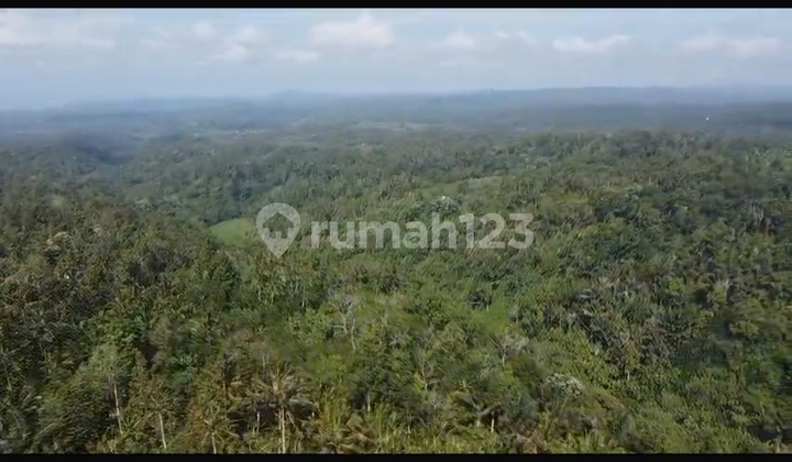 Durian View Land with Cool Sea Breeze for Investment Durian View Land with Cool Sea Breeze for Investment