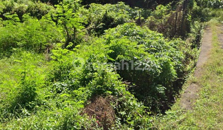 Small Size Land for Lease, Ready to Build, Yellow Zone Small Size Land for Lease, Ready to Build, Yellow Zone