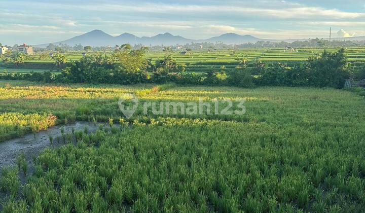 Beautiful View Villa Ready to Move In at an Affordable Price 2