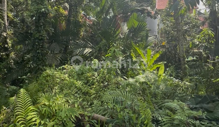 Tanah View Keren Sungai Hutan Zona Pink Siap Bangun 