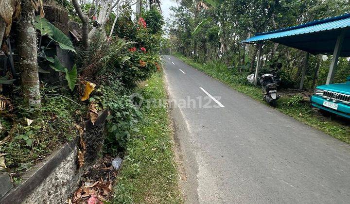 TANAH MURAH PINGGIR JALAN ASPAL COCOK INVESTASI 1