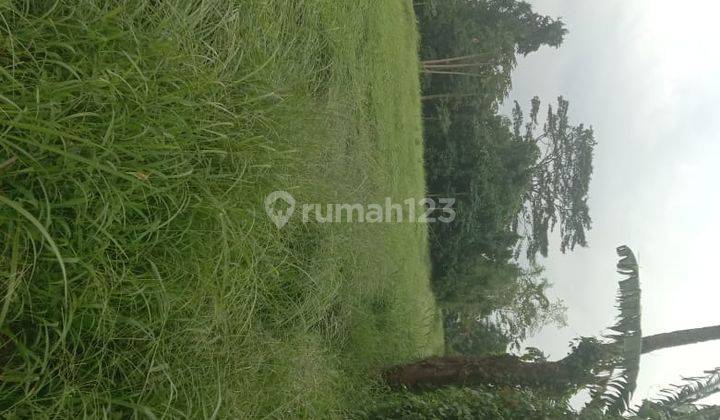 Tanah Zona Kuning Super Murah Di Kemenuh Ubud  2