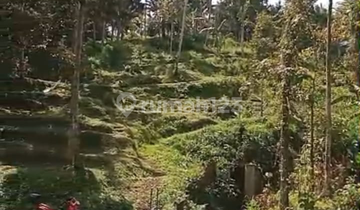 Dijual Tanah Premium Berlokasi di Penebel Tabanan