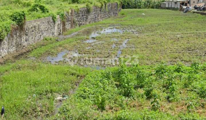 Tanah Sewa Strategis Di Canggu Area! Sangat Istimewa