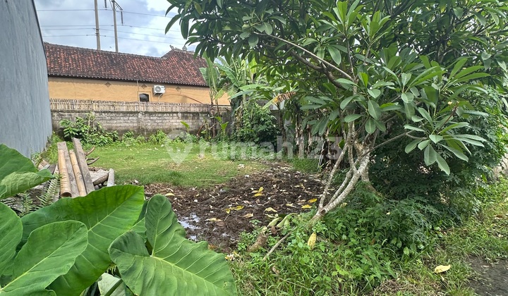 Cheap Land Ready to Build Near Rangkan Ketewel Beach Cheap Land Ready to Build Near Rangkan Ketewel Beach