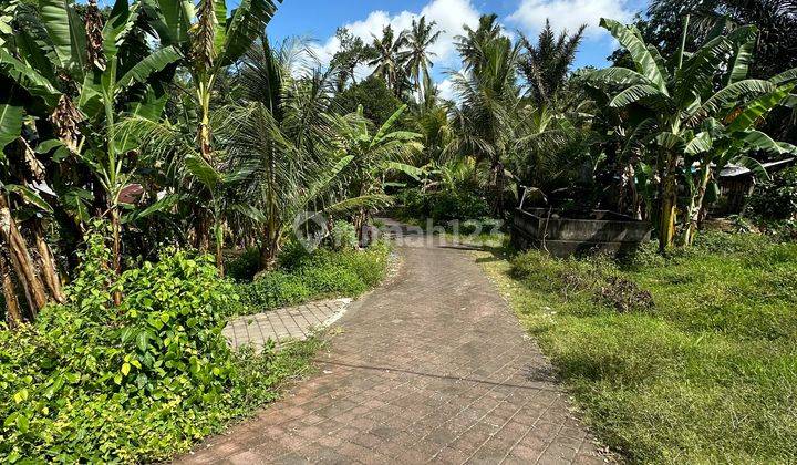 Tanah Hook Siap Bangun Jalan Lebar Zona Kuning 2