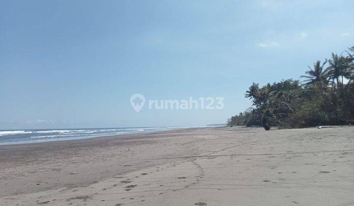 TANAH LOS PANTAI KEREN DAN KEBUN KELAPA HARGA MURAH 2