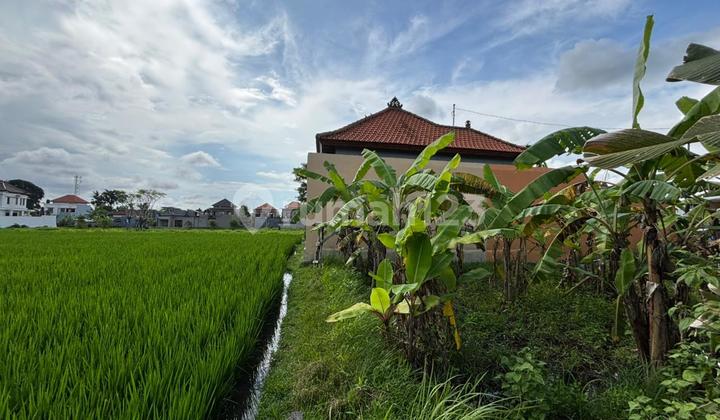 Tanah View Sawah Cocok Vila Rental Harga Murah Tanah View Sawah Cocok Vila Rental Harga Murah
